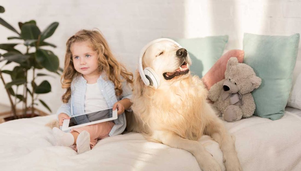 races de chiens idéales pour les familles avec des enfants