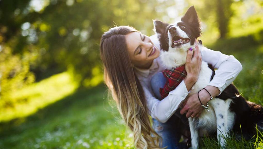 renforcer les liens de complicité et de tendresse avec son chien