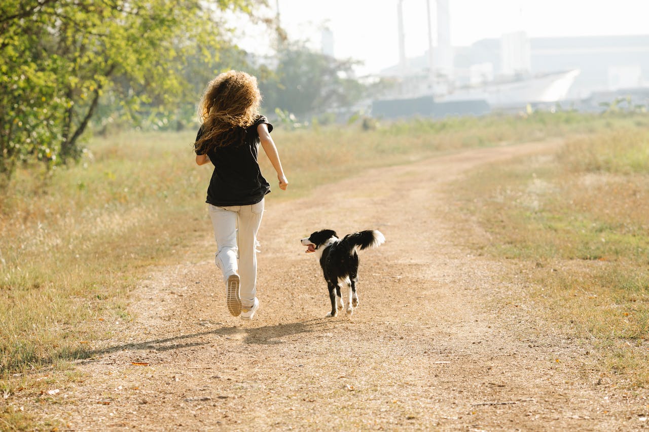 chien et sport