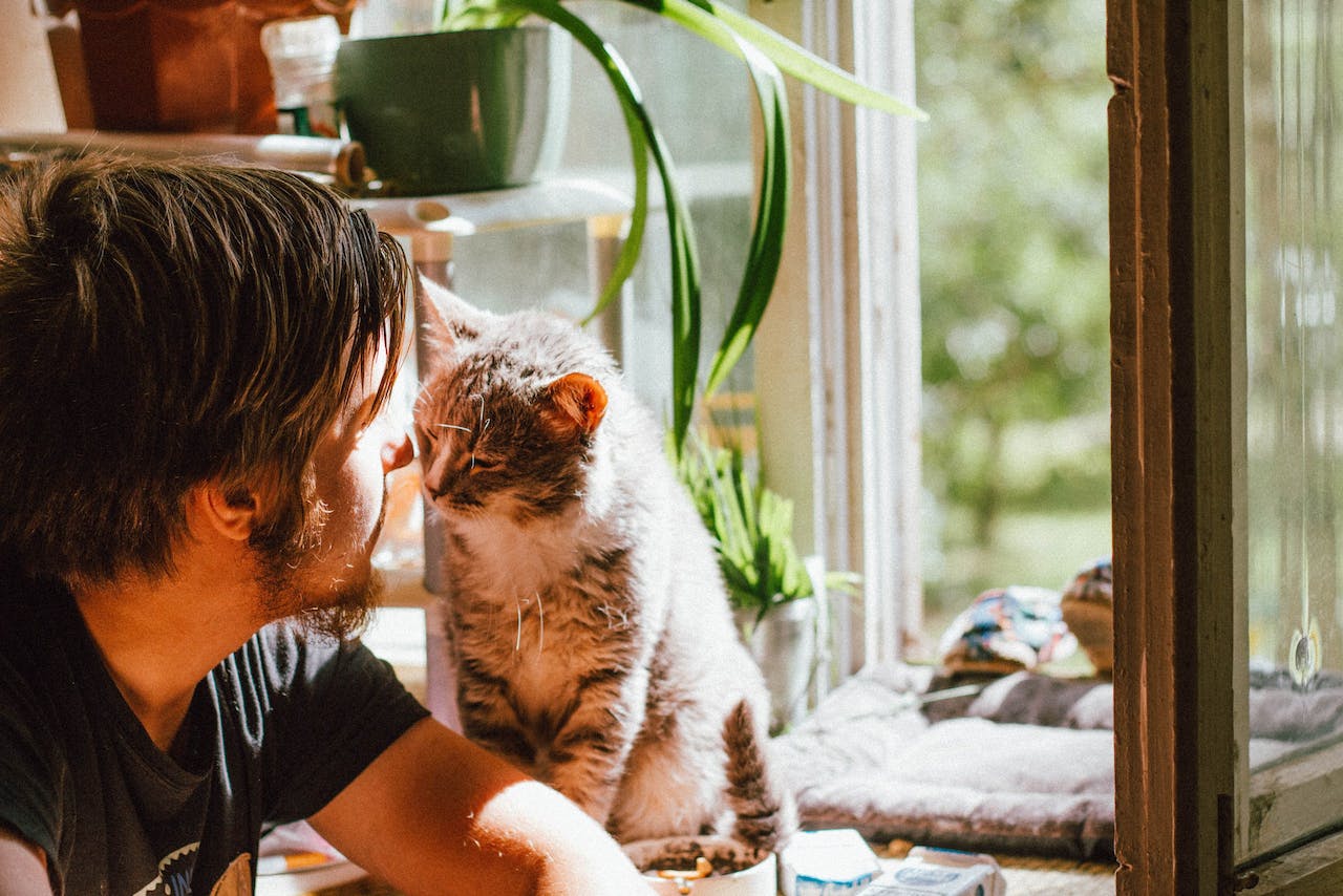 chat et homme